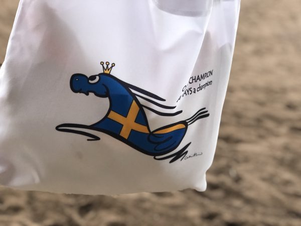 DCH Beach Bag Empero Champion Sweden - Image 3