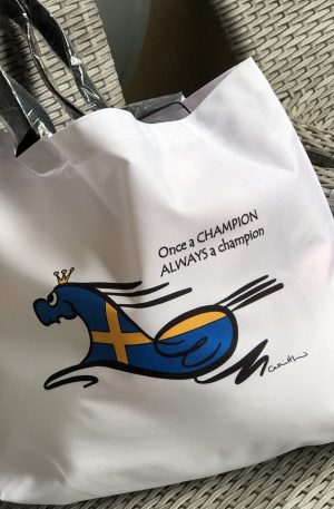 DCH Beach Bag Empero Champion Sweden