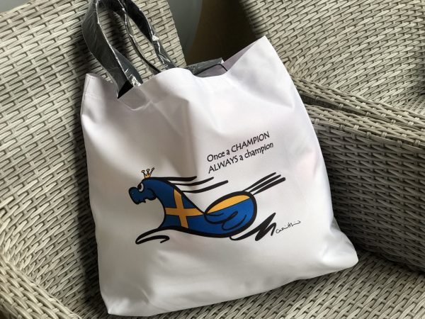 DCH Beach Bag Empero Champion Sweden